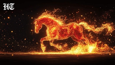 fire horse year 2026 chinese feng shui 1778093627202 1778093633446
