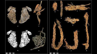 inside a cave older than egypts pyramids 12000 year old stitched piece of elk hide may be the worlds