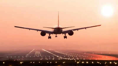 सरकार ने एयरलाइंस के लिए 5,000 करोड़ रुपये की आपातकालीन ऋण योजना को मंजूरी दी | भारत समाचार