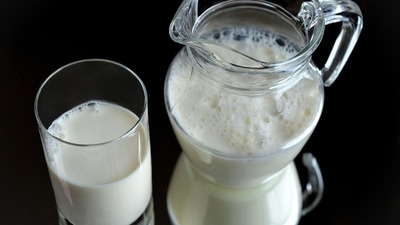 milk andhra pradesh deaths 1771830215758 1771830215870 1779201952411 ac40a9f5 e9fc 46ef 8b72 a64eb86