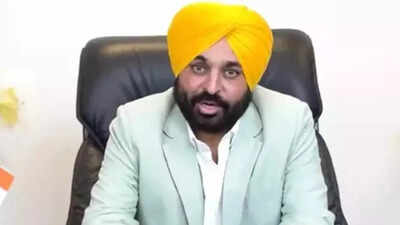 punjab cm bhagwant mann has sought trust vote in assembly file photo