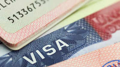 visa representative image