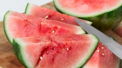watermelon 1777978678800 1777978678934