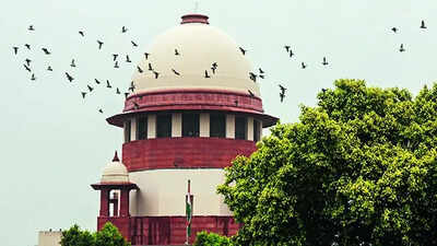 would kasab have been given bail over trial delay govt to sc