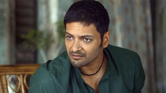 अली फज़ल का कहना है कि फिल्म निर्माताओं ने उन्हें मिर्ज़ापुर करने के खिलाफ चेतावनी दी थी: ‘मैं उस समय डरा हुआ था’
