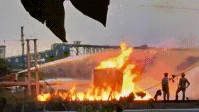 GIF 1782791882364 1782791889406 fa1181e2 e343 4eeb a059 fc68c62d7ecf