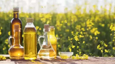 Oil 2000px 1759471486510 1759471505816 1782459397405 d88bcddd 39b6 4289 a013 9b81f598a765