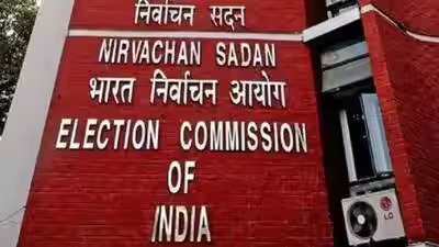 EC ने आंध्र प्रदेश, हरियाणा में मतदाता सत्यापन कार्य की समय सीमा बढ़ाई | भारत समाचार