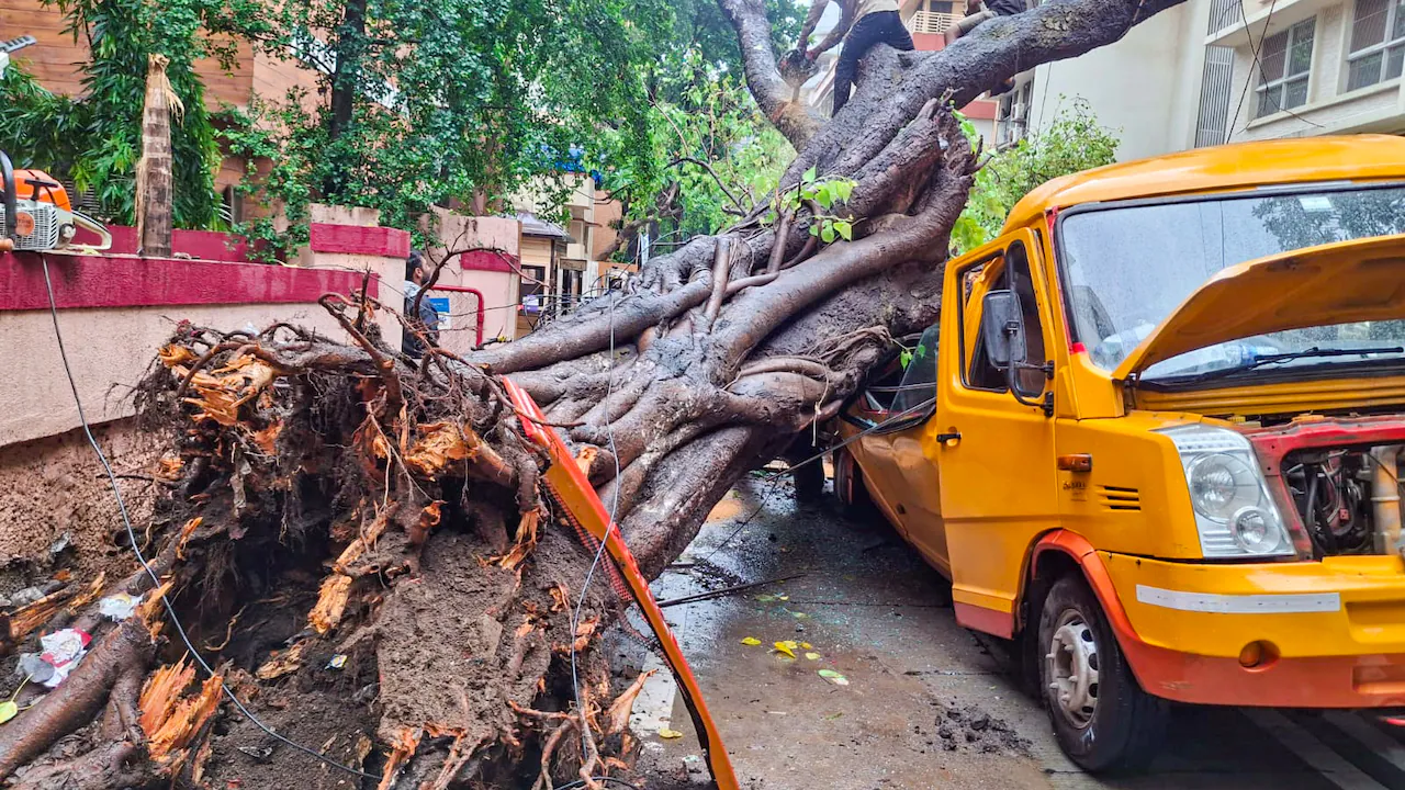 मुंबई में बारिश, मानसून: मुंबई में बारिश के बीच मैनहोल में गिरने से एक व्यक्ति लापता, बचाव कार्य जारी