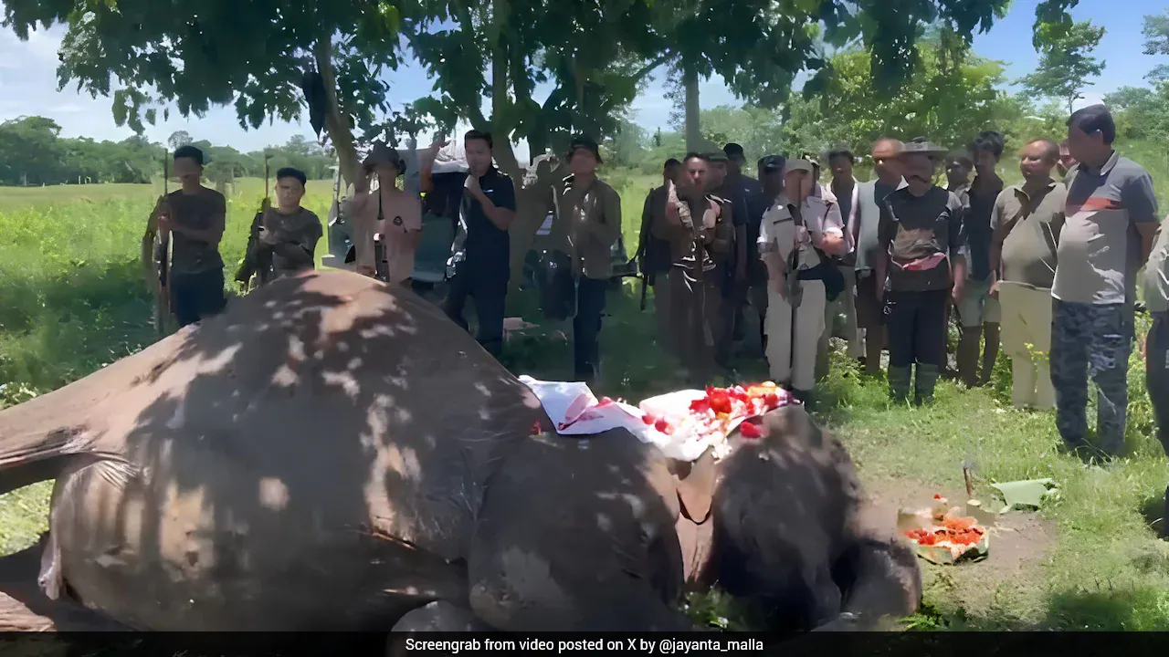 जॉयमाला, काजीरंगा का प्रतिष्ठित गश्ती हाथी जिसने एक बाघ से लड़ाई की, 66 वर्ष की आयु में मर गया