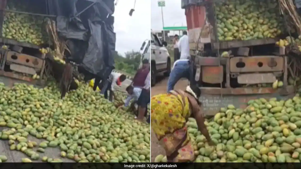 देखें: पलटे हुए ट्रक से भीड़ ने लूटे आम, इंटरनेट पर कहा गया "मानवता मर गई"