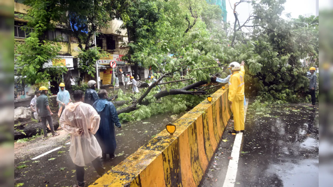 मौसम आज लाइव अपडेट, मुंबई, दिल्ली, उत्तर भारत में बारिश, आईएमडी अलर्ट, मानसून की बारिश से हवाई यात्रा प्रभावित, दिल्ली, मुंबई में उड़ानें डायवर्ट की गईं