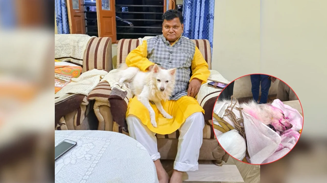 मध्य प्रदेश के बैतूल में मालिक के अंतिम संस्कार के दौरान पालतू कुत्ते की मौत के बाद दिल दहला देने वाली विदाई 2 मध्य प्रदेश के बैतूल में मालिक के अंतिम संस्कार के दौरान पालतू कुत्ते की मौत के बाद दिल दहला देने वाली विदाई