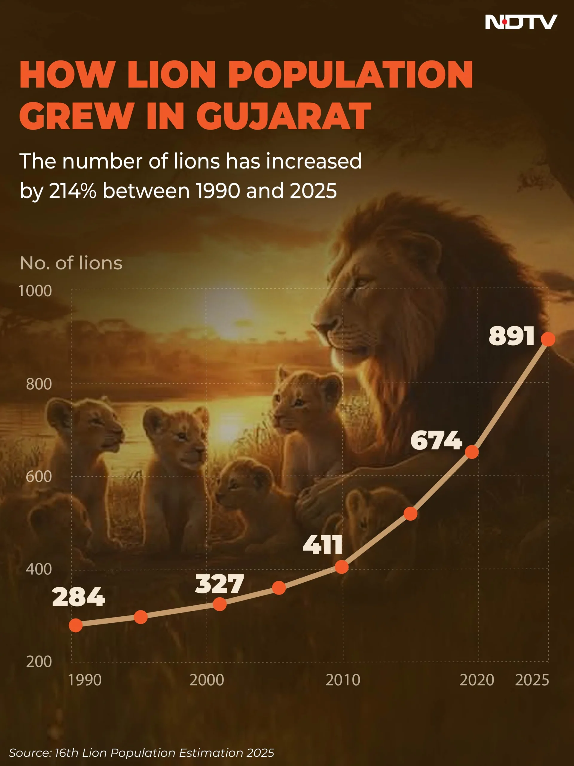 गुजरात का शेर विरोधाभास: बिग कैट बूम अधिकारियों के लिए एक नई परीक्षा क्यों है 1 गुजरात का शेर विरोधाभास: बिग कैट बूम अधिकारियों के लिए एक नई परीक्षा क्यों है