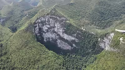 चीन के विशाल सिंकहोल एक लुप्तप्राय मैगनोलिया पेड़ की रक्षा कर रहे हैं, लेकिन वे इसके भविष्य को भी फँसा सकते हैं