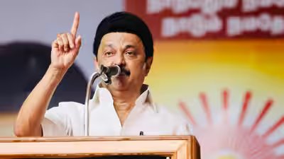 ‘अगर तमिलनाडु के हितों को ठेस नहीं पहुंचती है’ तो डीएमके परिसीमन विधेयक पर बातचीत के लिए तैयार है | भारत समाचार