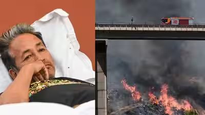 इवनिंग न्यूज़वैप: HC ने सोनम वांगचुक को निजी अस्पताल में ले जाने की पत्नी की याचिका खारिज कर दी; स्पेन की सबसे बड़ी जंगल की आग में 16,000 हेक्टेयर भूमि जलकर खाक हो गई | भारत समाचार 2 1784463656 untitled design