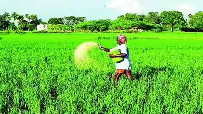 मई में बढ़ोतरी के बाद वैश्विक यूरिया की कीमतें कम हुईं, जून में 40% की गिरावट | भारत समाचार 4 1784582621 representative image