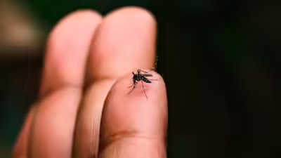 समान लक्षण, जलवायु परिवर्तन और परीक्षण अंतराल: मानसून की बीमारियों का अक्सर गलत निदान क्यों किया जाता है | भारत समाचार