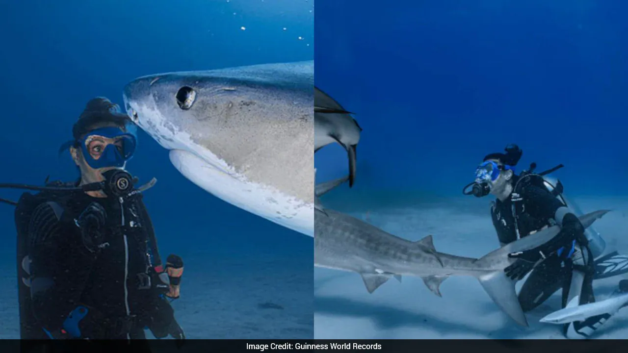 एक समय शार्क से डरने वाली महिला ने 106 समुद्री शिकारी टैटू के साथ गिनीज रिकॉर्ड बनाया