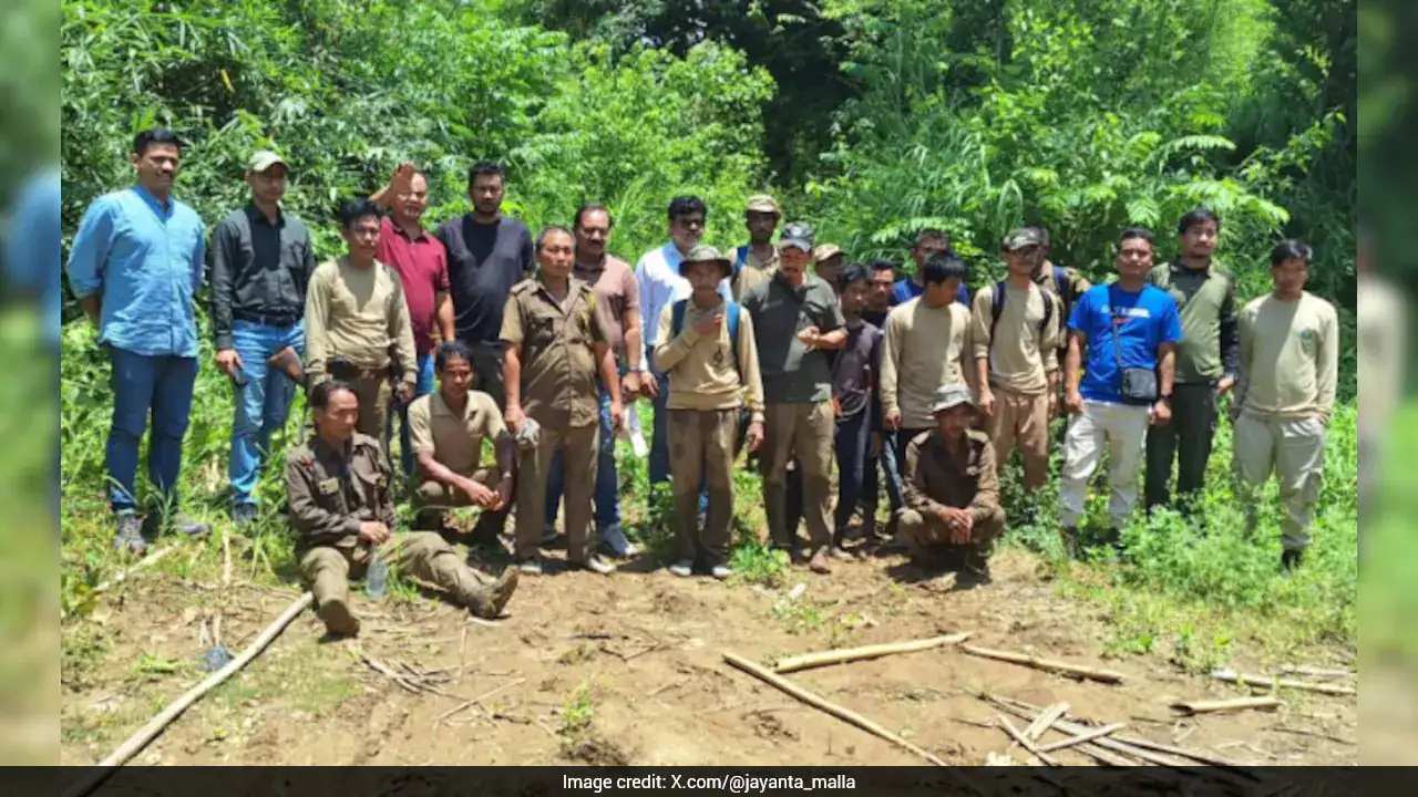 गश्त के दौरान संपर्क खोने वाले 23 वन कर्मी असम में 2 दिन की खोज के बाद सुरक्षित पाए गए