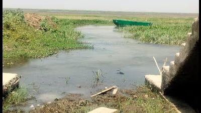पूर्वी यूपी की बखिरा झील: मानसून पर ग्लोबल वार्मिंग के प्रभाव की भविष्यवाणी करने के लिए 25,000 साल के डेटा को डिकोड करना 1 Bakhira Lake in east UP SOURCED 1784317592280