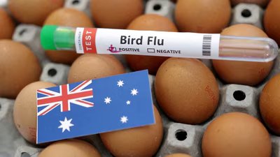 HEALTH BIRDFLU AUSTRALIA 1 1784092803177 1784092817055 3041b1a8 9f3d 47e3 8161 d1588c4fd6a1