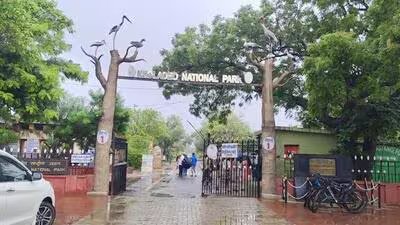 राजस्थान के केवलादेव राष्ट्रीय उद्यान को जल संकट का सामना करना पड़ रहा है क्योंकि पंचना बांध की आपूर्ति सूख गई है 1 Keoladeo National Park is home to around 336 bird 1785066198316