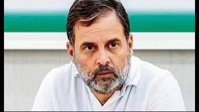 राहुल गांधी के खिलाफ डीए मामले में बेहतर जवाब दाखिल करें: इलाहाबाद हाईकोर्ट ने सीबीआई को निर्देश दिया 3 Leader of the Opposition in the Lok Sabha Rahul Ga 1784659066463