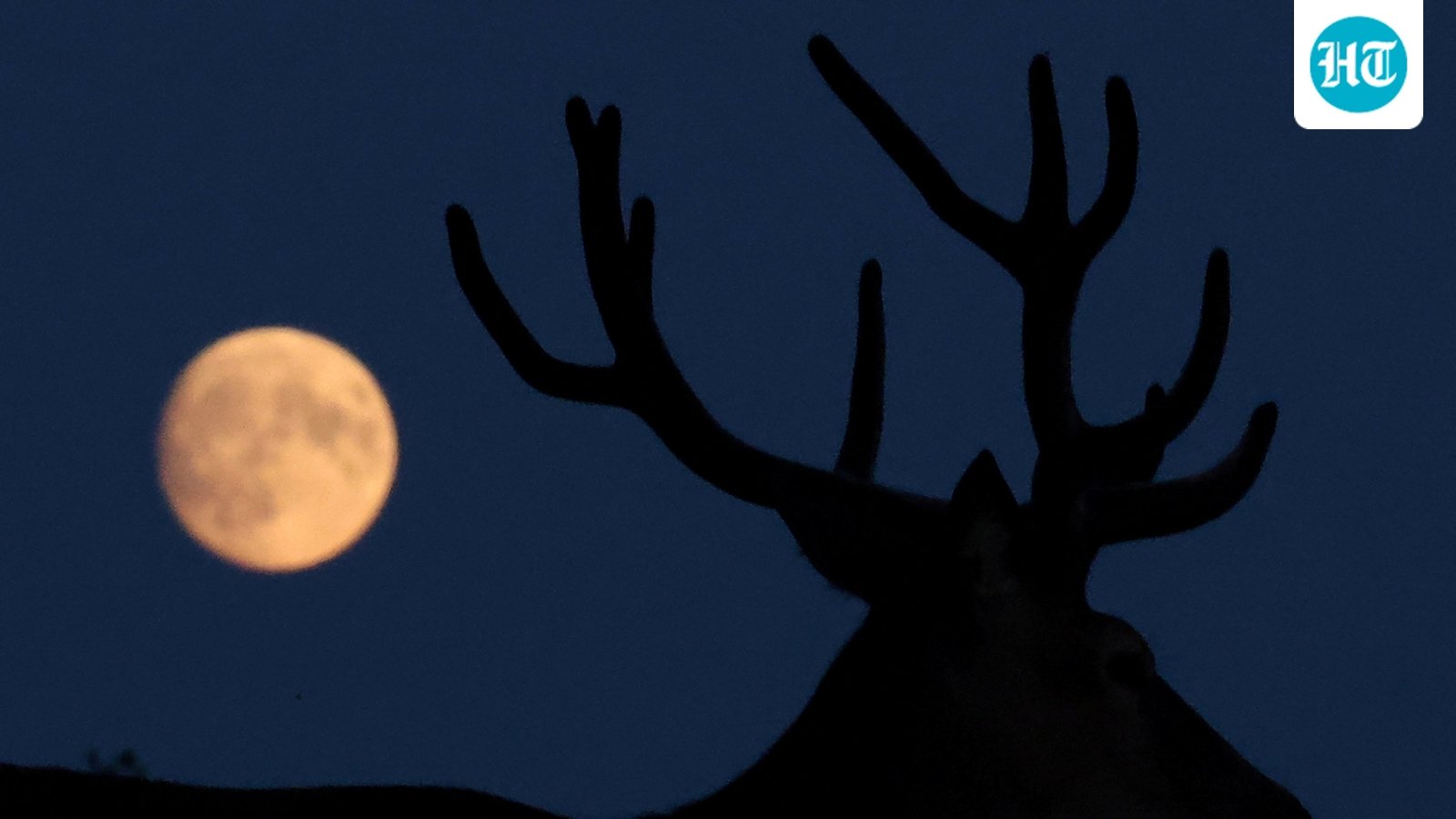MOON BRITAIN 6 1785352777654 1785352792247 f7756f09 3e27 44e1 b5a5 92ce0889de9f