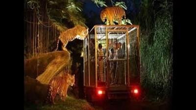 कुकरैल नाइट सफारी के लिए SC की मंजूरी: समय-समय पर निरीक्षण, प्रमुख सवारों के बीच सख्त सुरक्षा उपाय 4 The apex court also directed the CEC to conduct pe 1784401020326
