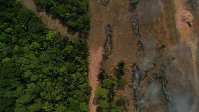 कोयला परियोजनाओं को मंजूरी मिलने के बाद ब्लॉक पर लगभग 400k पेड़ 5 amazon forest 1662017242361 1784341427269 5d66f1b1 51ff 4794 bd5d e09110e1305d