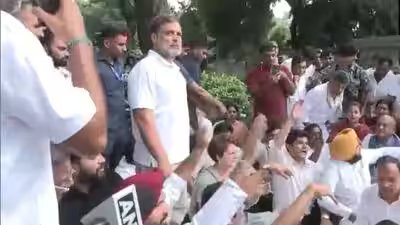 राहुल और प्रियंका गांधी के नेतृत्व में कांग्रेस का विरोध प्रदर्शन, पीएम मोदी के इस्तीफे की मांग | भारत समाचार