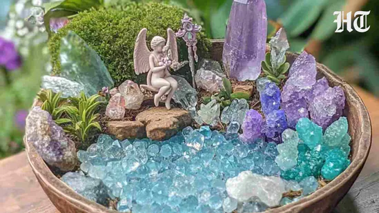 crystal family 1783414293187 1783414301337 50b469a4 00b0 40c1 a770 7e7881ba59d9