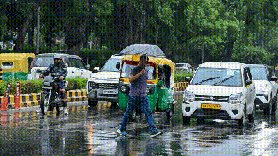 gif rain 1783391004865 1783391008914 1e58ea92 4e92 428b 8f6d 9b5bdf40493e