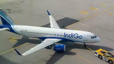 indigo