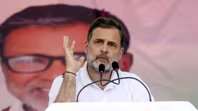राहुल गांधी का दावा, पीएम मोदी ‘भारत में अब तक के सबसे युवा विरोधी पीएम’ भारत समाचार