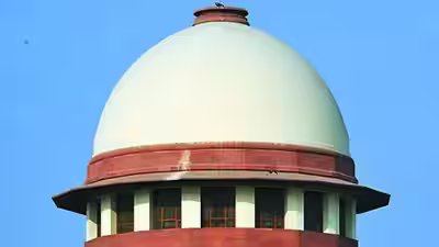 ग्रीन-क्रैकर प्रतिबंध को आसान बनाने की याचिका पर सुनवाई करेगा सुप्रीम कोर्ट | भारत समाचार 5 should ban on green crackers be eased outside delhi sc to decide
