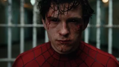 spidey 1785395507023 1785395514964 b51c6410 93bc 40b3 8f05 3328b9112f70