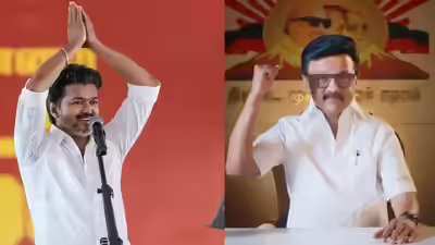 'टीवीके कुशासन पर पर्दा डाल रहा है, जनता उचित सबक सिखाएगी': डीएमके विधायक की गिरफ्तारी पर स्टालिन ने सीएम विजय की आलोचना की | भारत समाचार 2 tvk chief vijay dmk supremo mk stalin