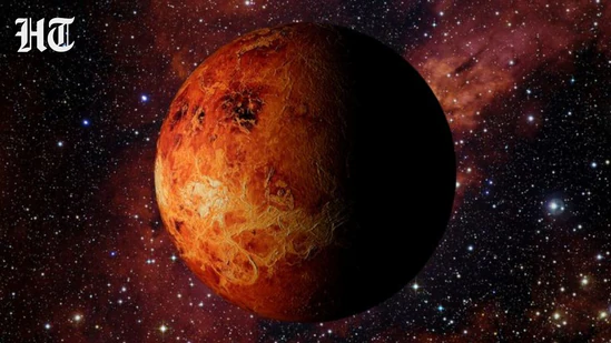 venus in leo 2026 1783236978914 1783236986988 197d2470 a553 4bb2 9c61 ccc938175d8f