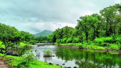 पश्चिमी घाट पारिस्थितिक क्षेत्र: केंद्र ने पश्चिमी घाट में पारिस्थितिक क्षेत्रों के लिए 7वें मसौदे को अधिसूचित किया | भारत समाचार 4 western ghats